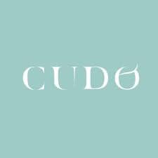 logo cudo group