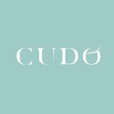 logo cudo group